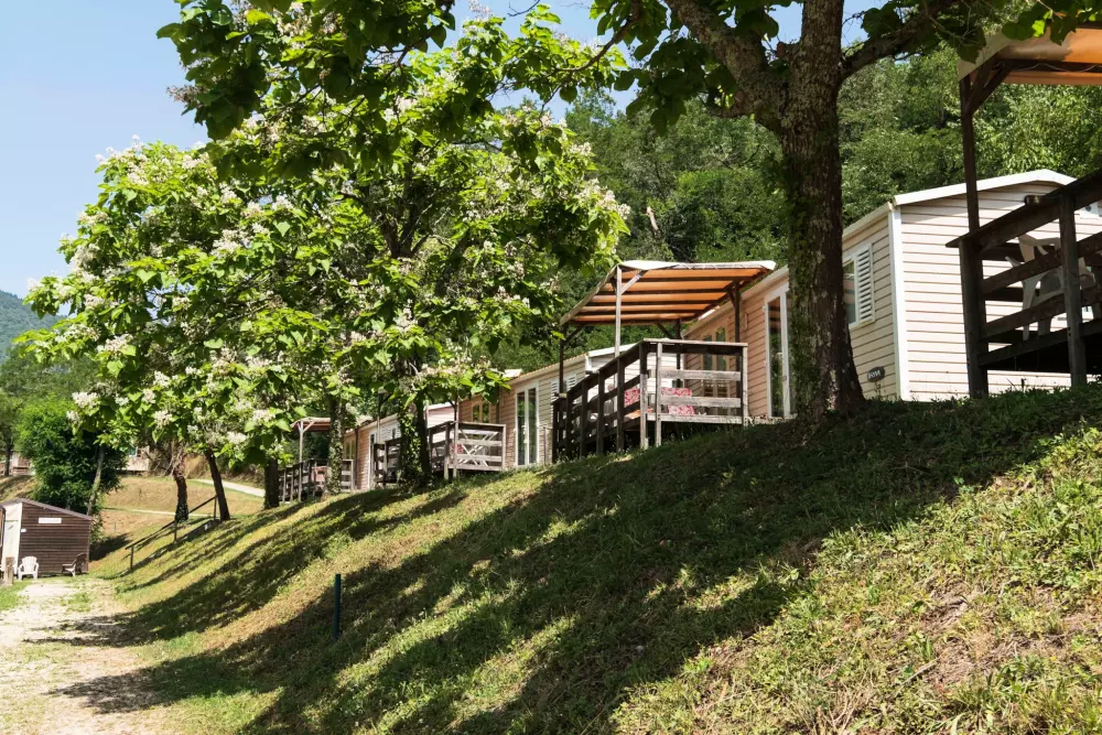 Kwiat Camping Mas de Champel 4 Gwiazdy★★★★ 4 Gwiazdy★★★★ 4 Gwiazdy★★★★ 4 Gwiazdy★★★★