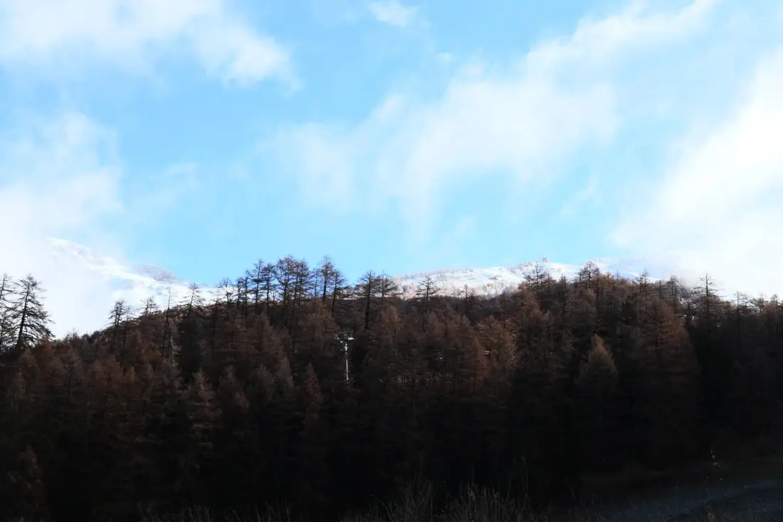 Faház La Combe D Or