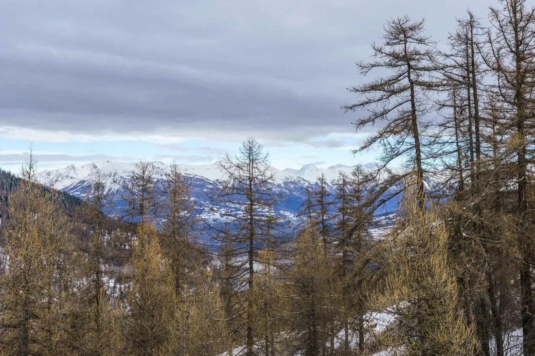 Les Chalets De Bois Méan – D