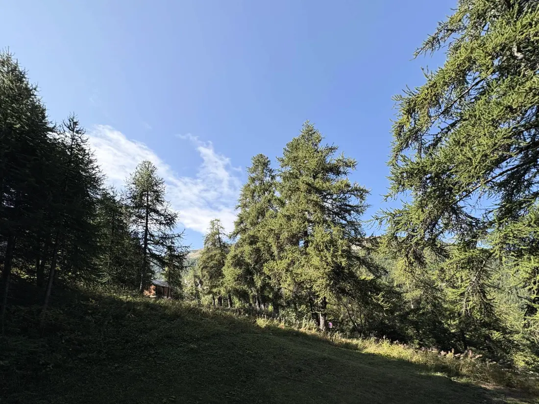La Seille rezidencia