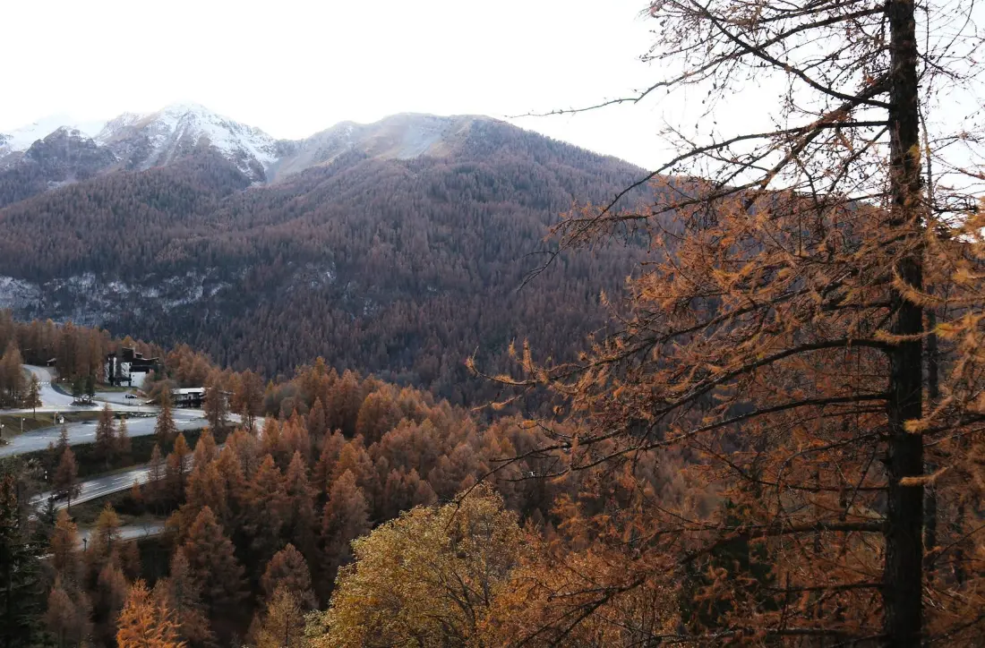 Residence Le Belvedere