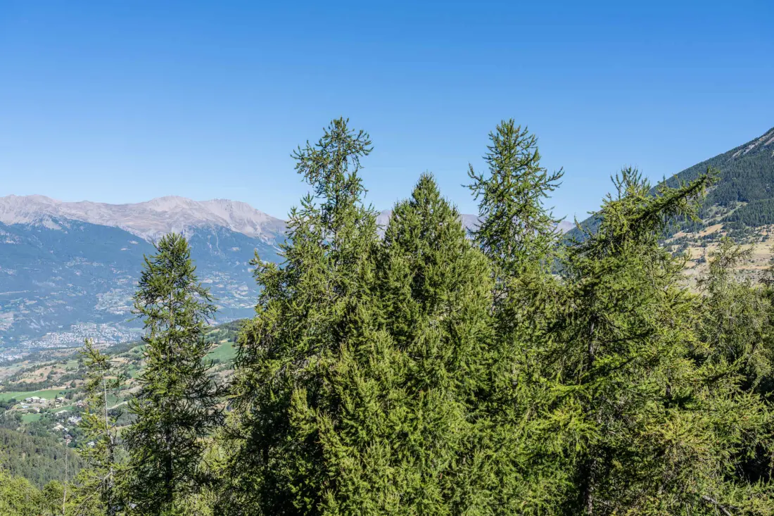 Residence Le Belvedere