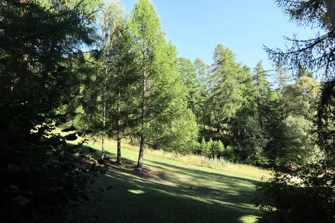 Residentie Le Silhourais