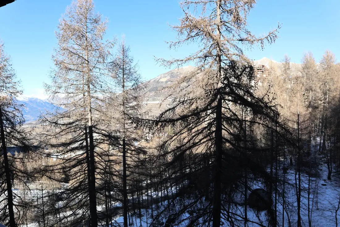 Residentie Les Ecrins