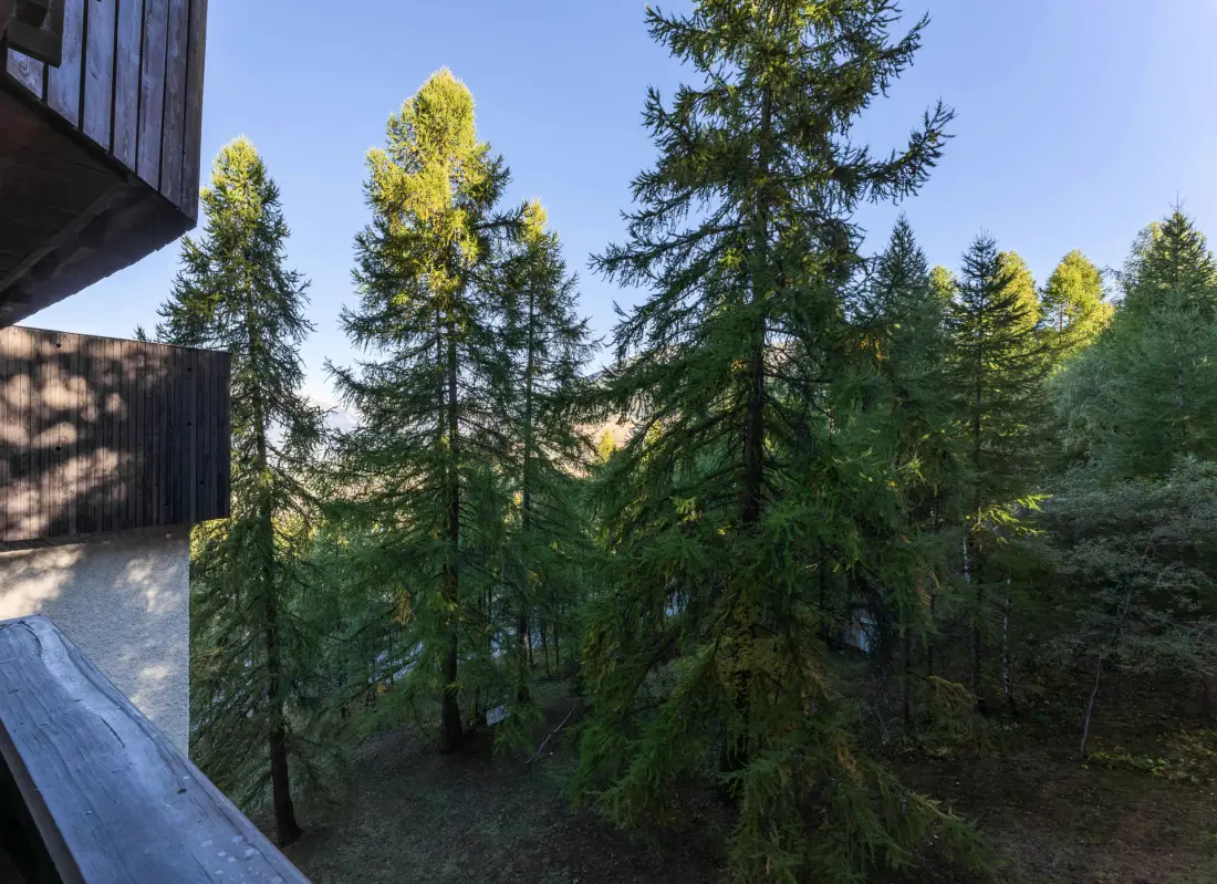 Residence Les Ecrins