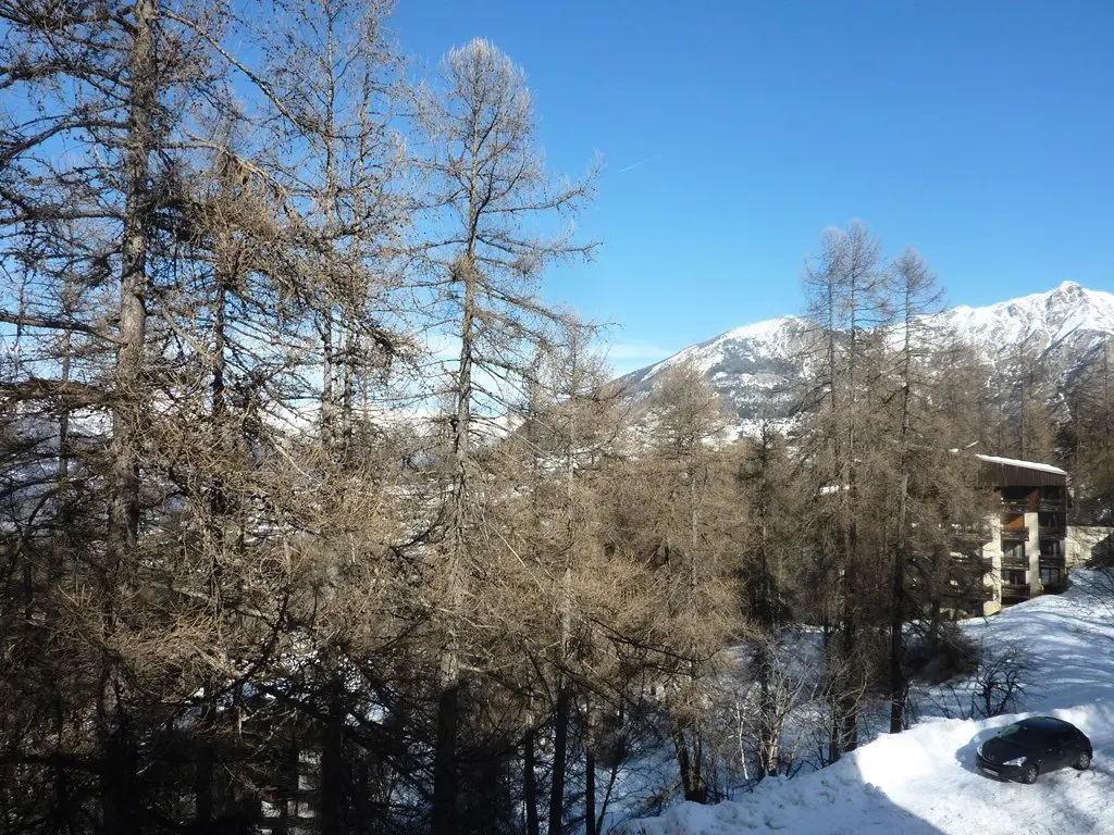 Residence Les Flocons