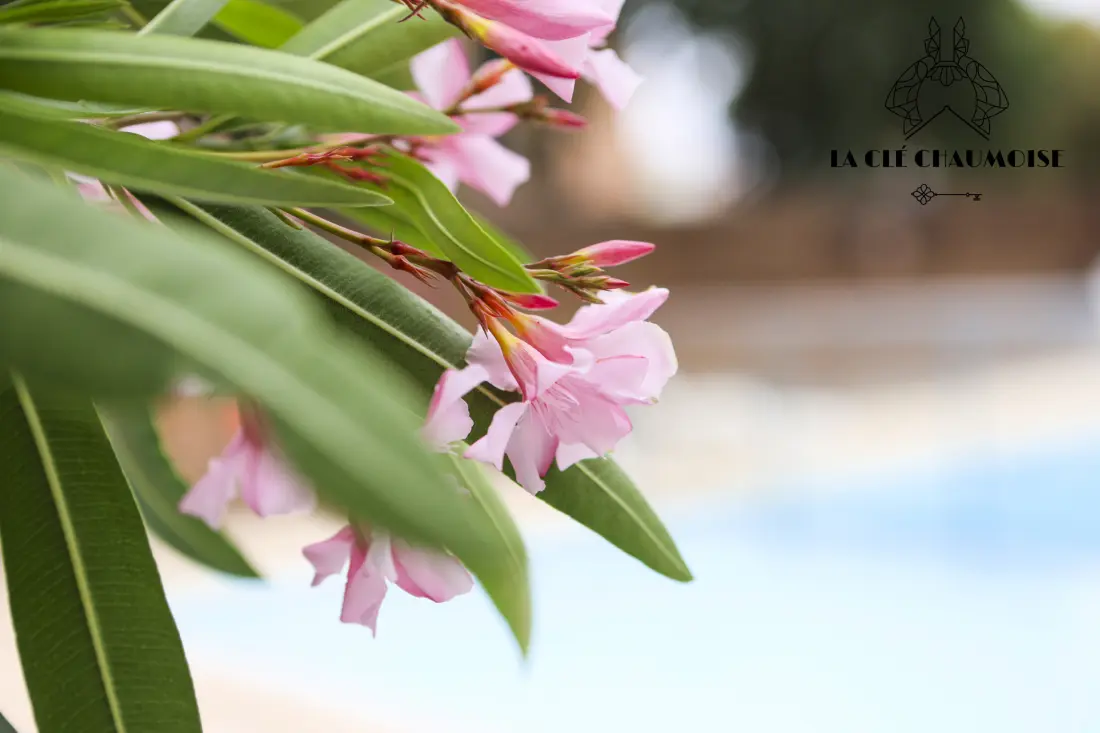 Apartmanok Les Sables d'Olonne