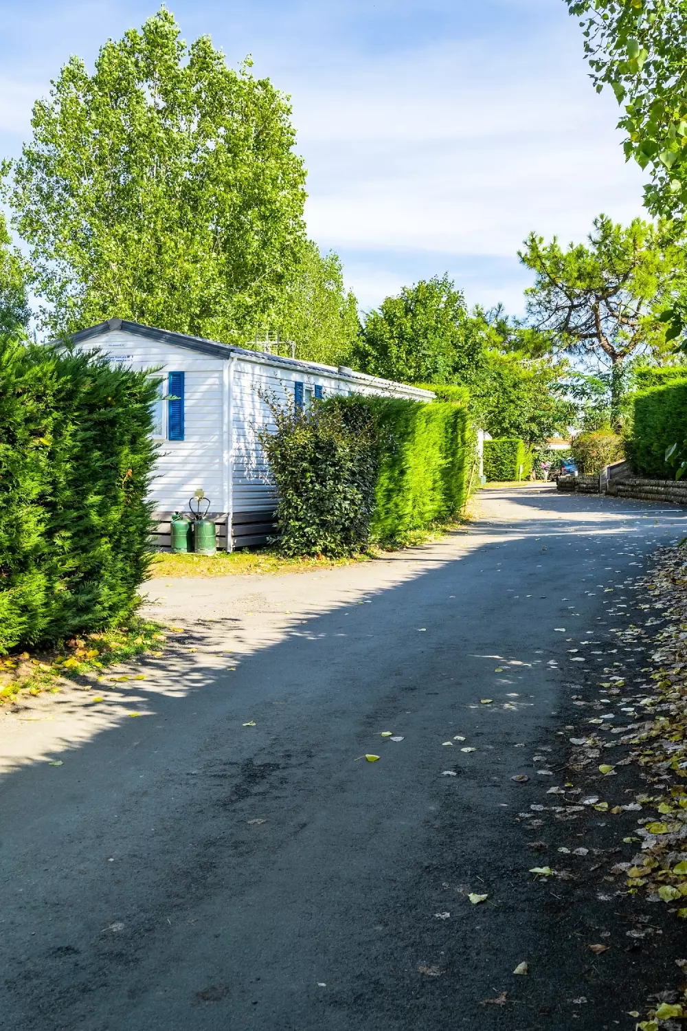 Camping Bois Soleil 4 Sterren★★★★