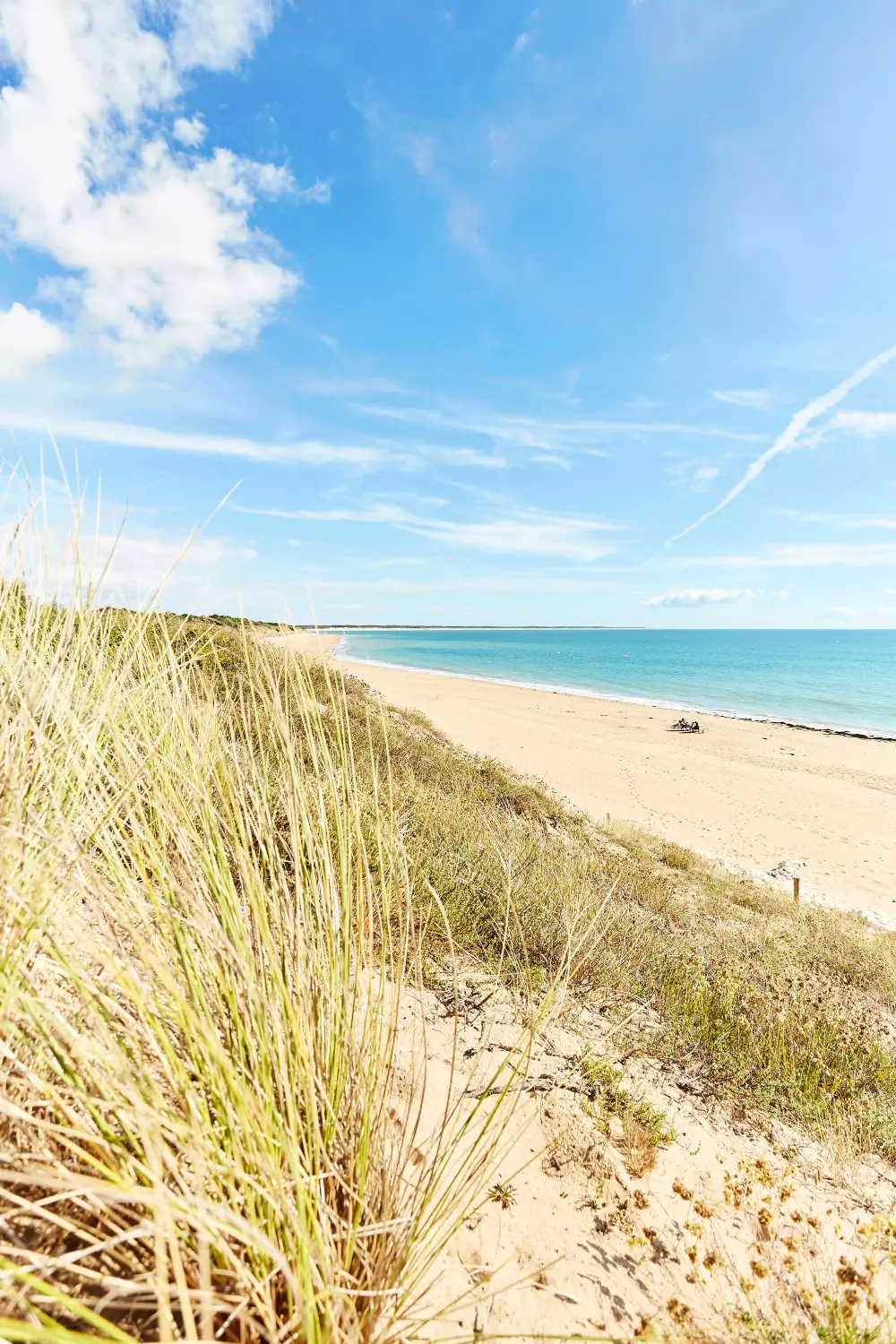 Camping Bois Soleil 4 Sterren★★★★