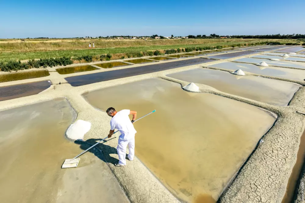 Camping Bois Soleil 4 Sterren★★★★