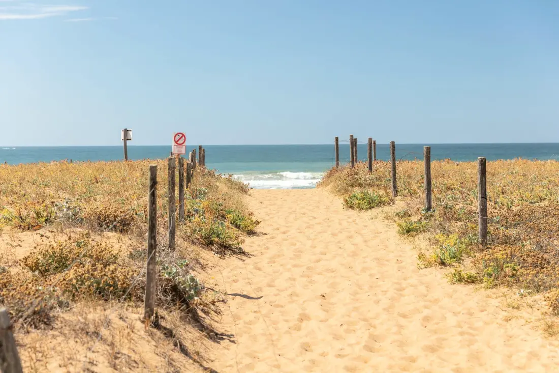 Camping Dune des homok