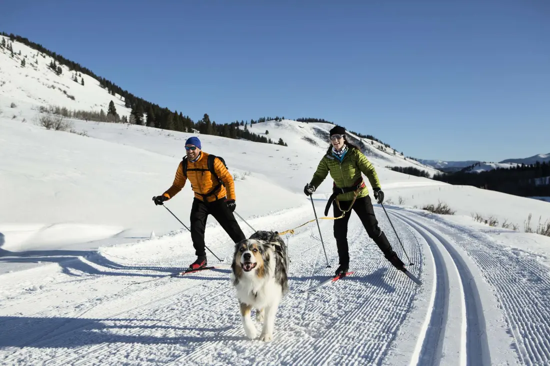 Residence des Armaillis