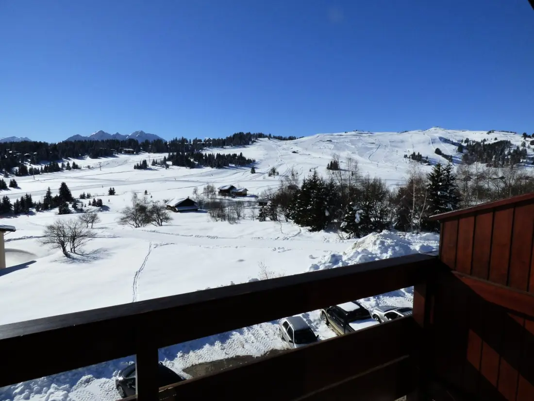 Residence Alpine Garden - Brimbelles