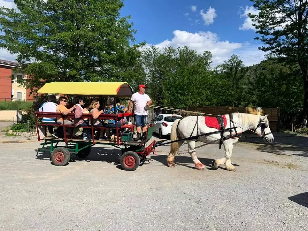 Kemping Castanhada3 Gwiazdy★★★