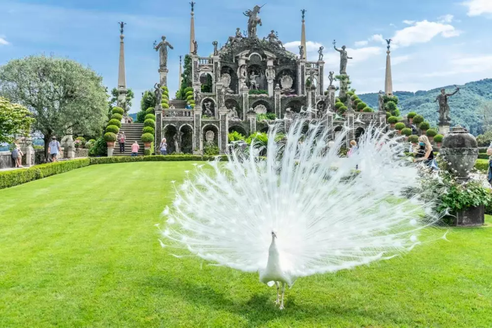 Solcio Village 3 Stars★★★