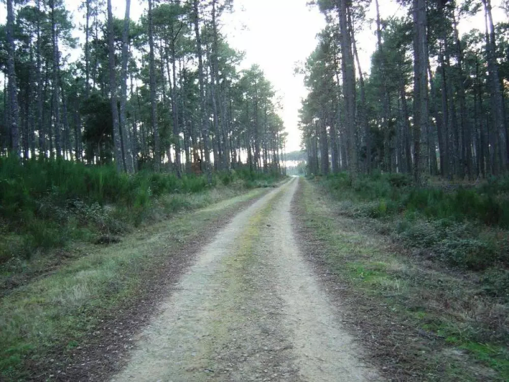 Bifolia Camping Lou Payou 2 Sterne★★