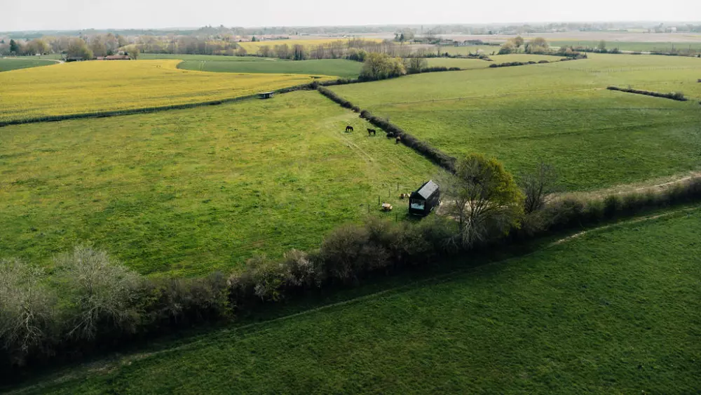 Romann - Parcel Tiny House
