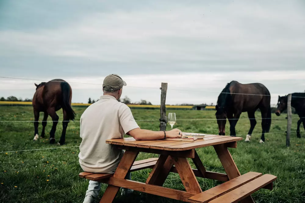 Romann - Parcel Tiny House