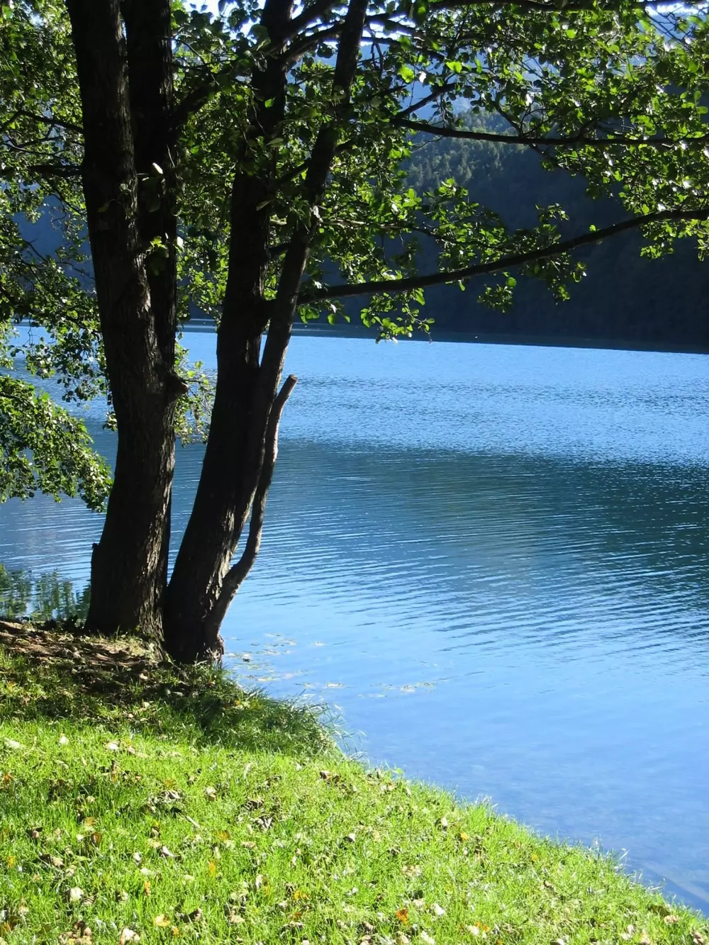 Club del Sole Due Laghi Levico Family Collection E' il momento giusto.