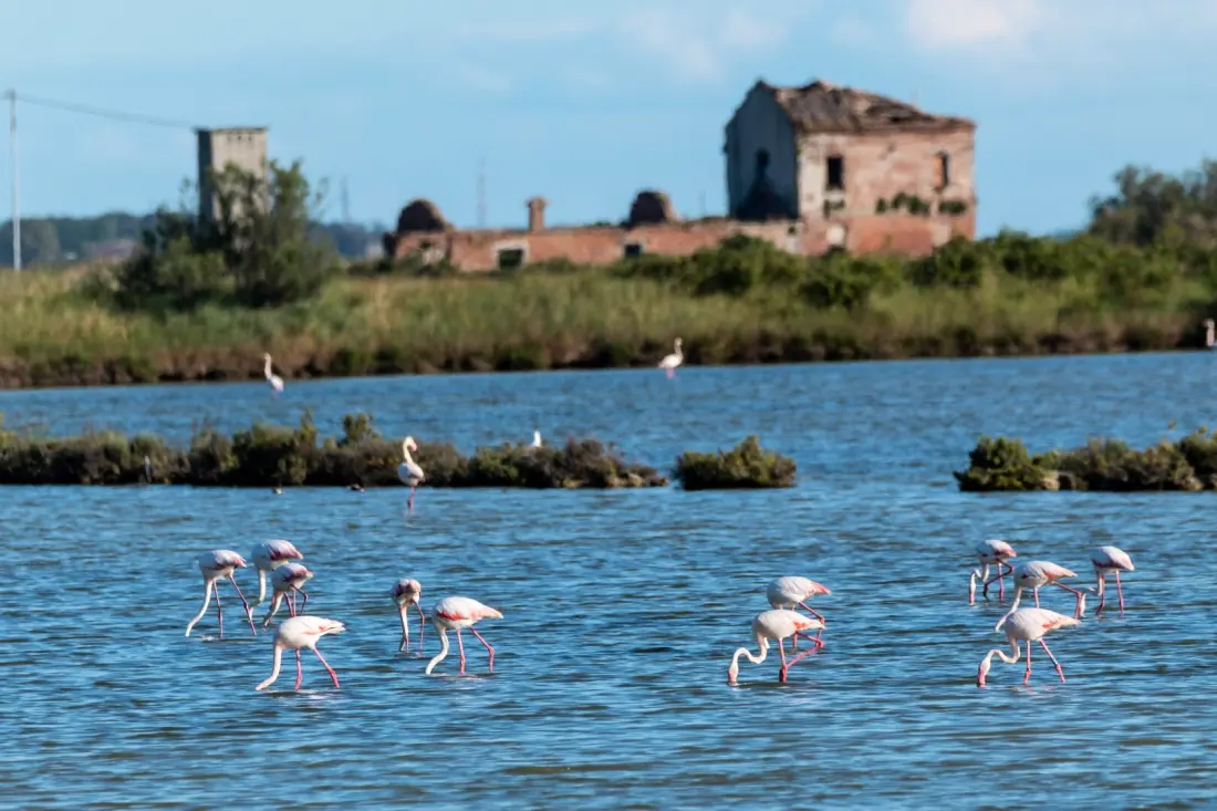 Camping Club del Sole Vigna sul Mar Family Collection 4 Sterren★★★★
