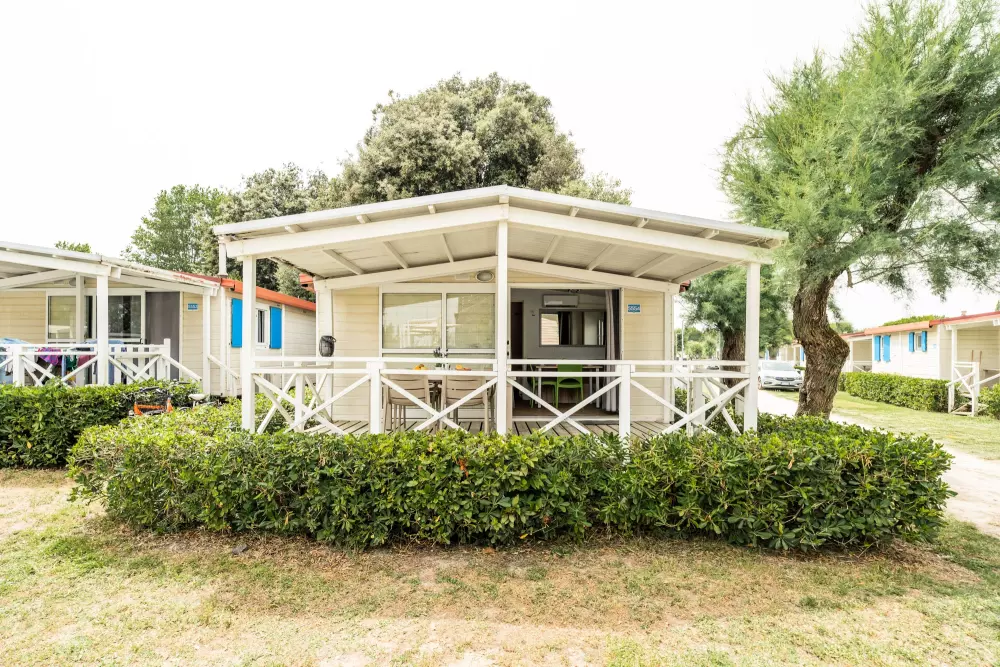 Klub del Sole Vigna sul Mar Rodzina kolekcji 4 Gwiazdy★★★★ 4 Gwiazdy★★★★ 4 Gwiazdy★★★★ 4 Gwiazdy★★★★