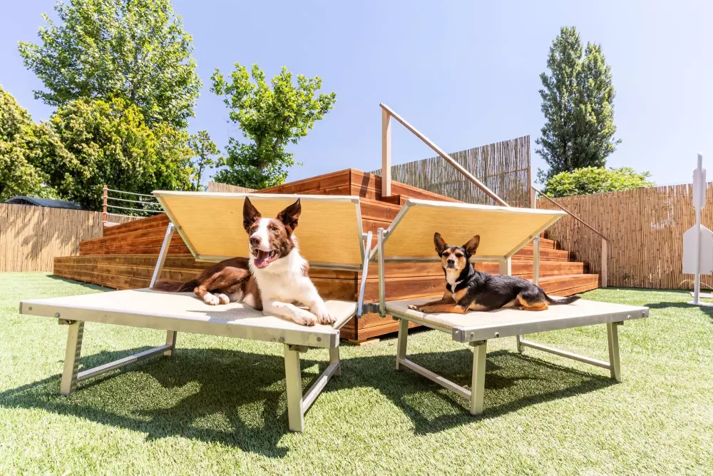 Camping Club del Sole Vigna sul Mar Family Collection 4 Estrellas★★★★