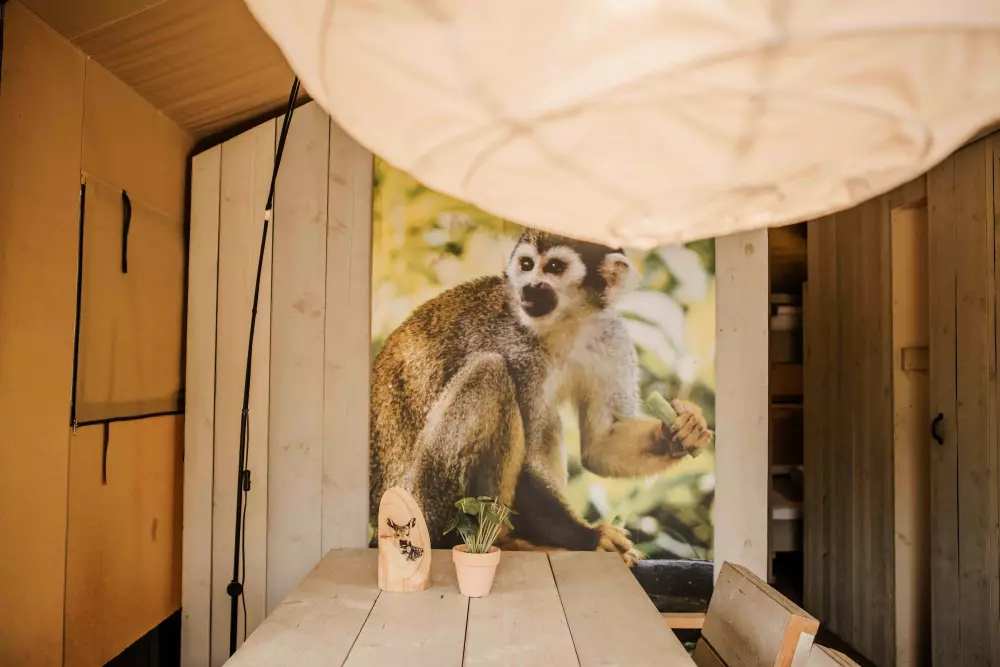 Veluwepark De Bosgraaf