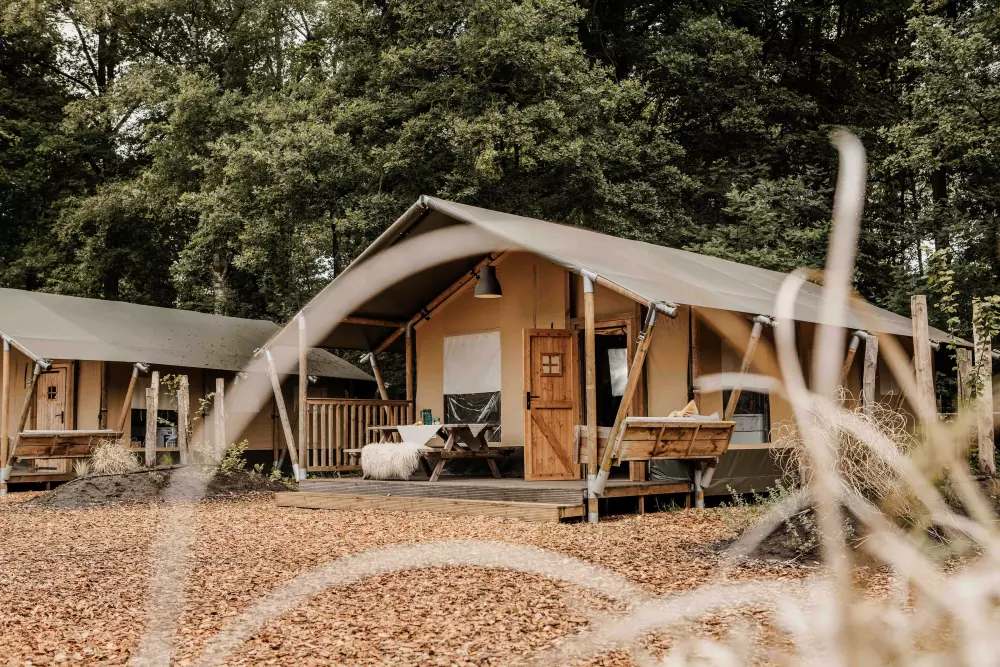 Veluwepark De Bosgraaf