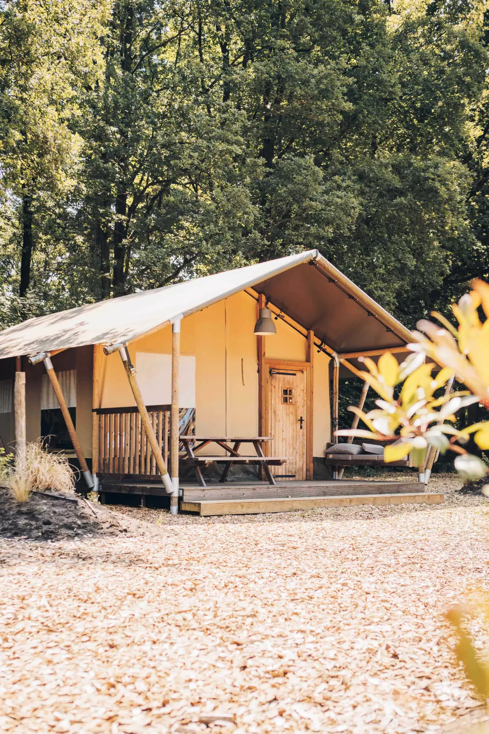 Veluwepark De Bosgraaf