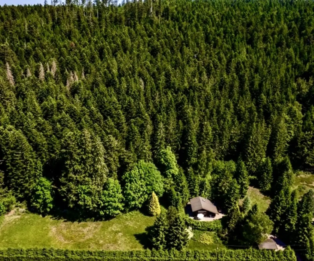 Kis paradicsom a szemek menedékében :)