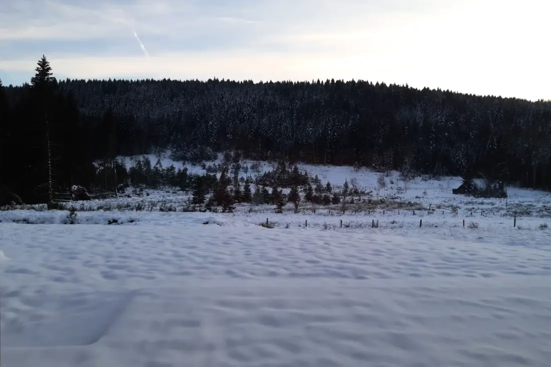 Home Back to Sources - Országház északi fürdővel