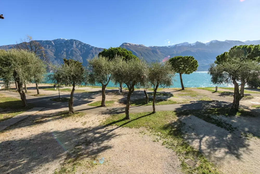 Camping Park Garda 4 Sterne★★★★