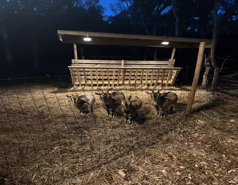 Campsite Calella Útvonalterv