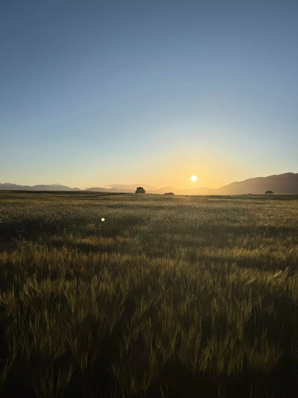 Campsite Calella Útvonalterv