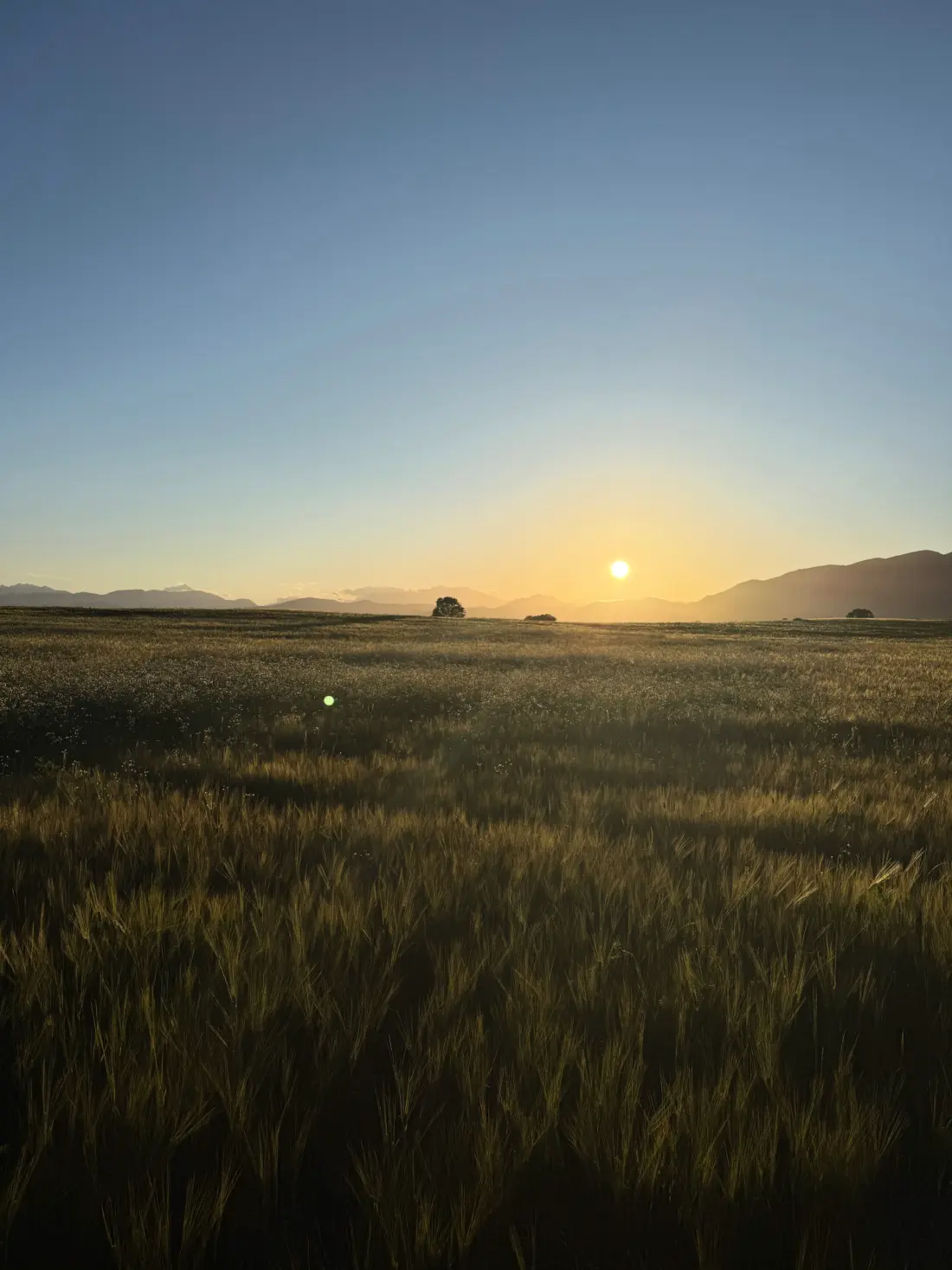 Campsite Calella Útvonalterv