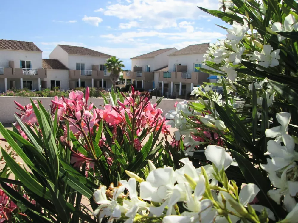 Residence Les Hauts du Maquis3 Csillagok★★★