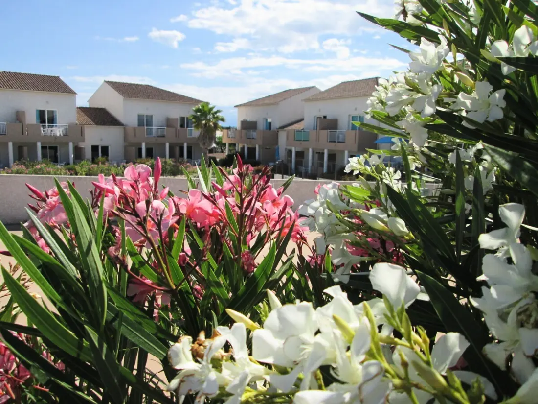Residence Les Hauts du Maquis3 Csillagok★★★