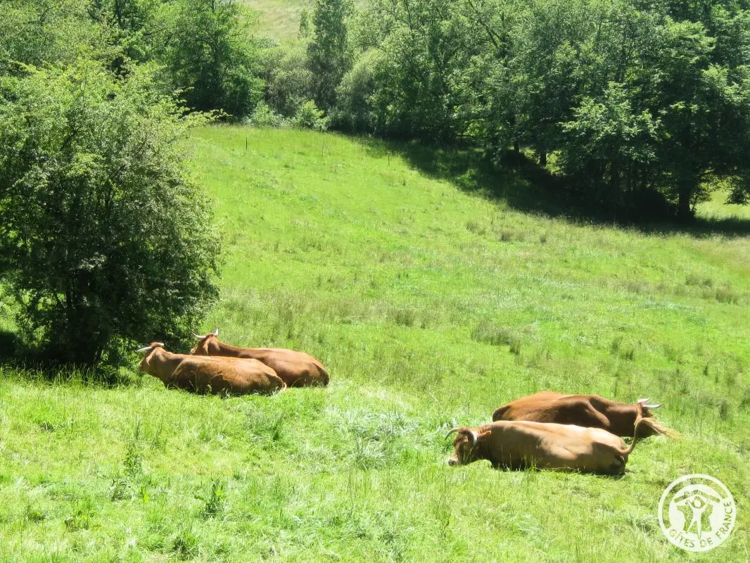 Gîte de France in Lissac sur Couze 3 oren
