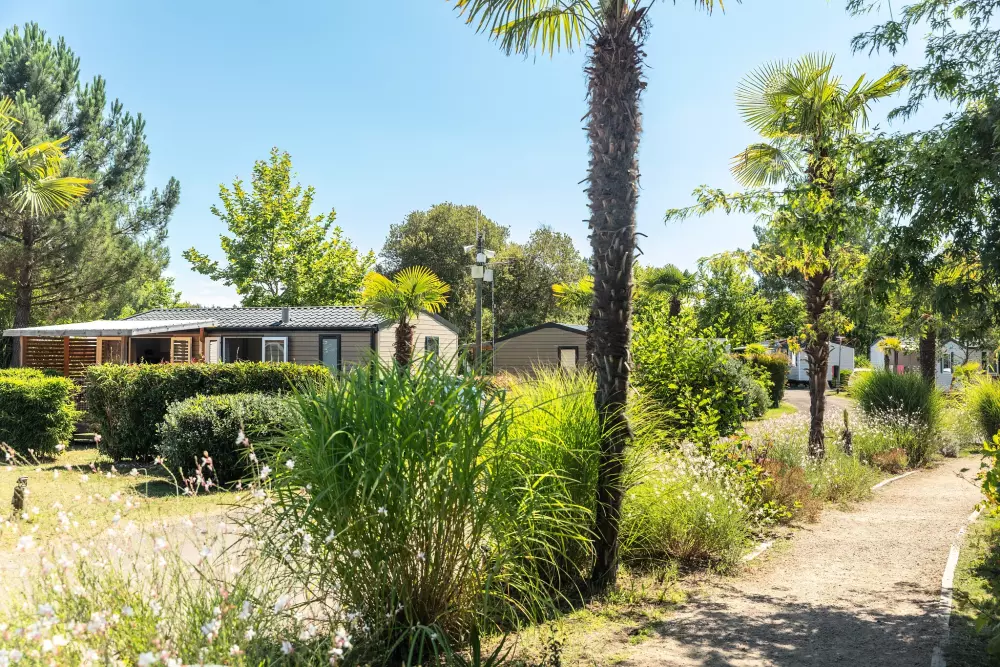 Campingplatz Les Vignes5 Sterne★★★★★