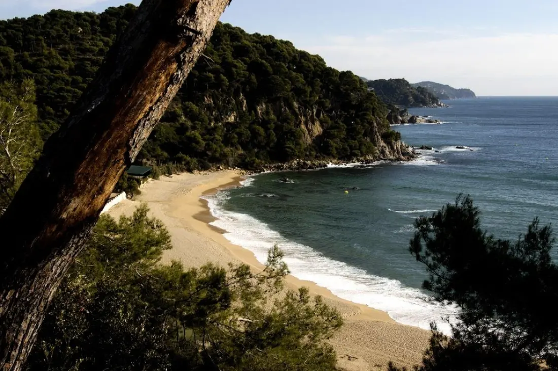 Campsite Lloret Blau 3 Csillagok★★★
