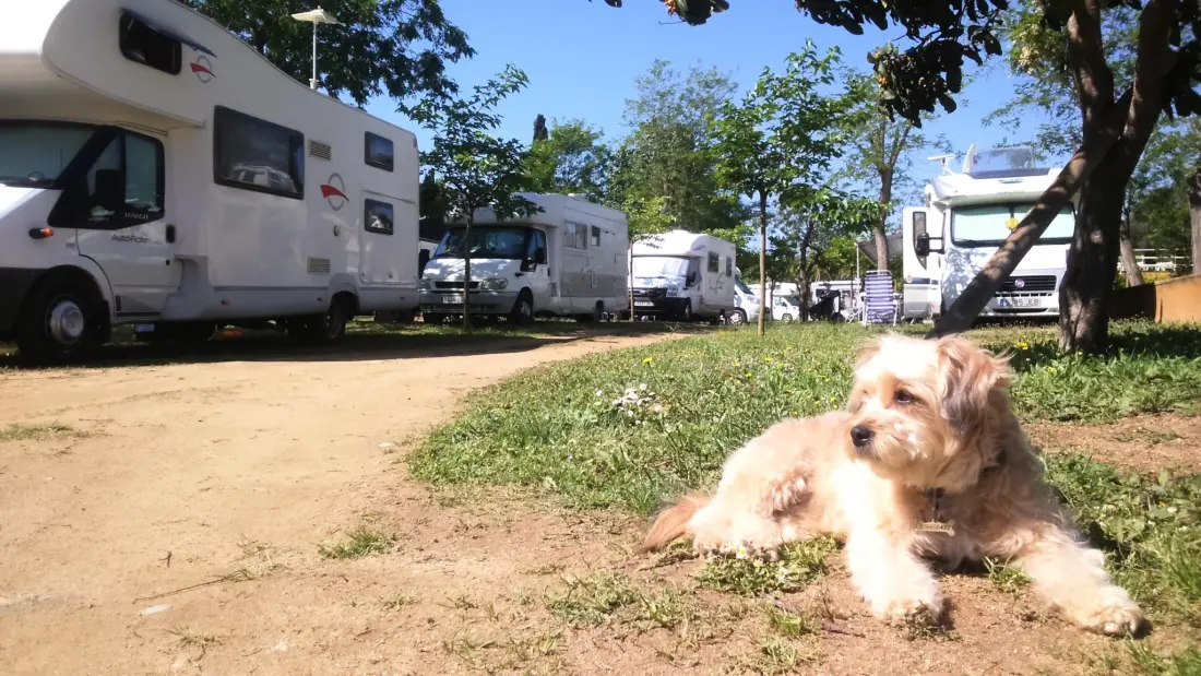 Campsite Lloret Blau 3 Csillagok★★★