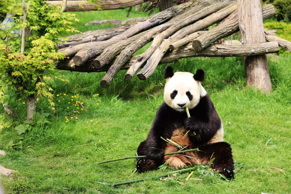 Camping maeva Escapades La Citadelle 4 étoiles★★★★