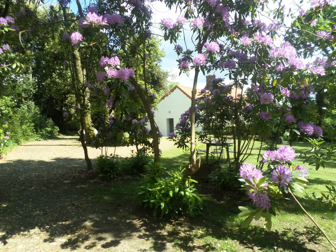 Gîte de France Le cosy 2 épis