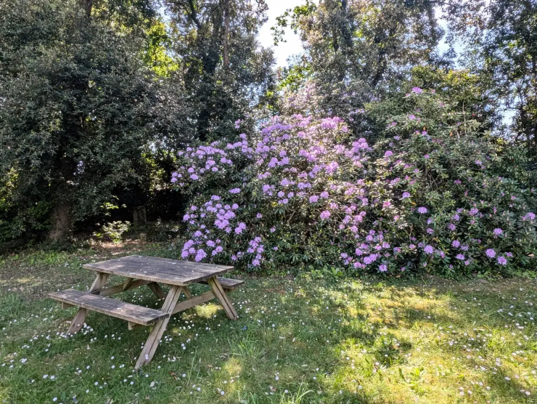 Gîte de France Le cosy 2 épis