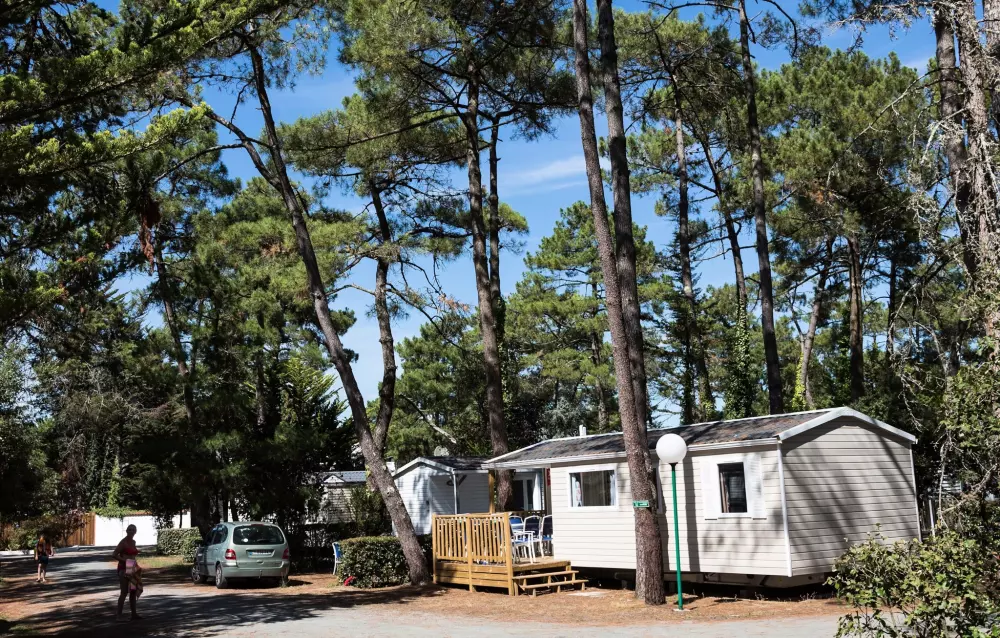 Camping Flower Les Dunes3 Sterne★★★