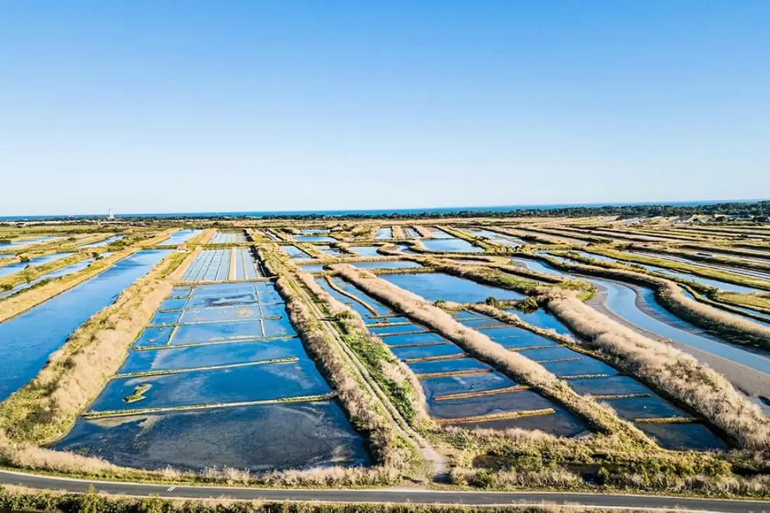 Camping Flower Les Dunes3 Sterne★★★