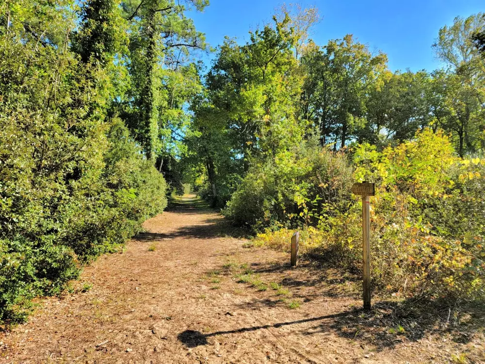 Camping Flower Les Dunes3 Sterne★★★