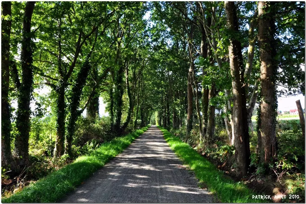 Camping Monaco Parc 5 Sterren★★★★★