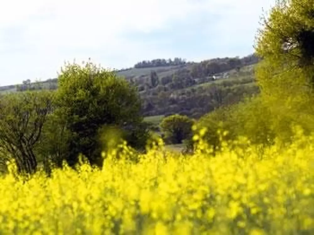 Camping Monaco Parc 5 Sterren★★★★★