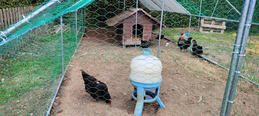 Gîte de France Gîtes de france® - le colibri 2 épis